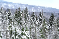 Dixville, NH