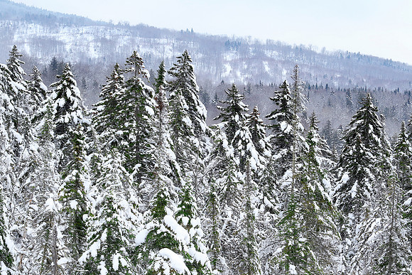 Dixville, NH