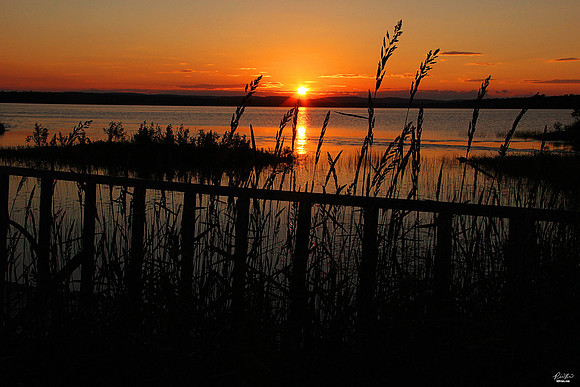 Aroostook County, ME