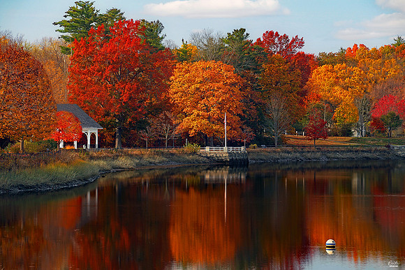 National Photographers Photo of the Day Award, September 2022